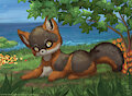 Sea Breeze Island Fox