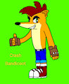 Crash Bandicoot by ChelseaCatGirl