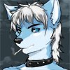 icon for chaoticicewolf