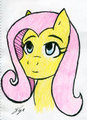 MLP: Practice face