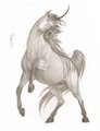 Carnivorous Unicorn by SpartaDog