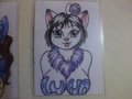 Luna Badge