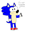 Sonic Will Not Use Wrench