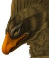 gryph icon