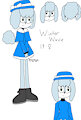 Winter The Poodle