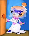 Sonic The Bride Wedding day by ClassicSatAmSonic