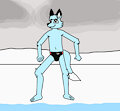 Terry the Blue Fox on Laskovyy Beach