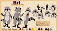 Bri the Raccoon Ref Sheet 2020 (PG Nude)