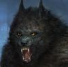 POV: Male werewolf digests little Sister (Post-vore)