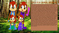 Chaos Emeralds Arc: Sally & Carol Acorn Bio