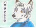 Cizkaro badge by Skulldog
