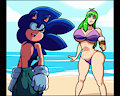 Sonic's Beach Fling
