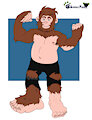 [Commission] ShanghaiBigfoot