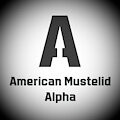 American Mustelid Alpha - Episode 1, Part 2, "Steel Or Cardboard"