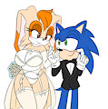 Husband and Wife by Sonicguru