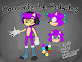 My character - Concorde the Hedgehog