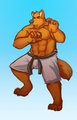 Judo Wolf
