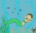 Elora the mermaid