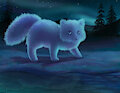 Sheer Cold Arctic Fox