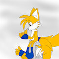 Tails Consept