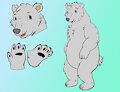 Carlos the Polar Bear