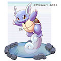 Dia 5 Wartortle