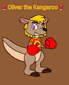 Oliver the Kangaroo