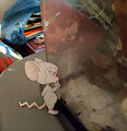 PatB Paper children 2 - Checking out my mice