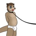 Otter Boy on a Leash