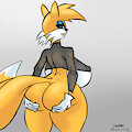 Tails Booty by CepheiFN
