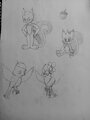 Squirrely Squirrels Production Sketches