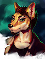 Dingo [raffle] by Hirvi