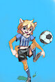 Soccer Shiba