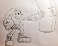 Knuckles at the Gym