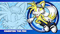 Kingston The Fox (Sonic Channel Style)