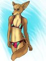 Swimwear Bear [Male Fennec]
