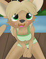 Fun at the lake