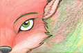 Half-face fox by Boxice