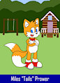 Sonic Apex: Tails by Stripeback