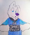 swag police