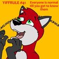 Yiffrule #41