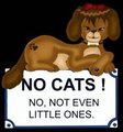 No Cats