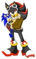 Sonic Kingdom - Captain Shadow and Prince Sonic