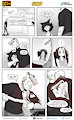 Cats n Cameras Strip 529 - A whole lot of Jo