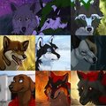 Icon Batch: 8