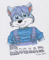 Rollar Wolf Cub badge