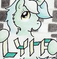 Lyra