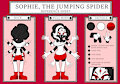 Sophie the Jumping Spider OC sheet