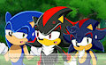 Sonic X Screenshot Redraw - Double Trouble