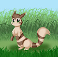 Cute Furret